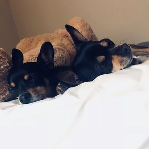 🖤 w e l c o m e 🖤